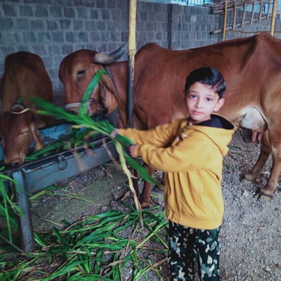 INNOVATIVE HOMEWORK – GAU SEVA